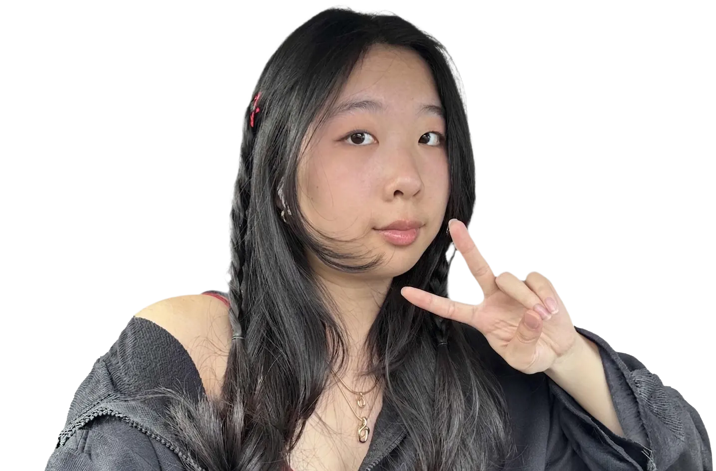 Olivia Chen, Fundraising Chair